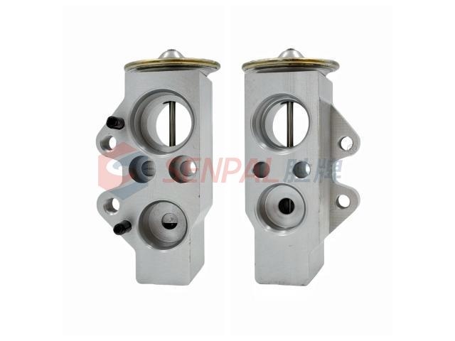 Expansion Valve:9A782067900