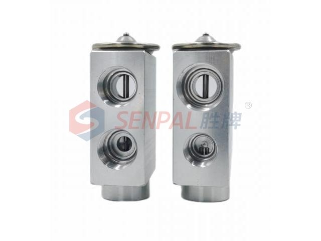 Expansion Valve:77 01 040 493