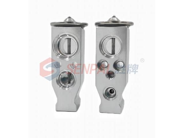 Expansion Valve:10170426