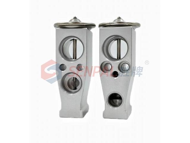 Expansion Valve:8106000XKZ1DA