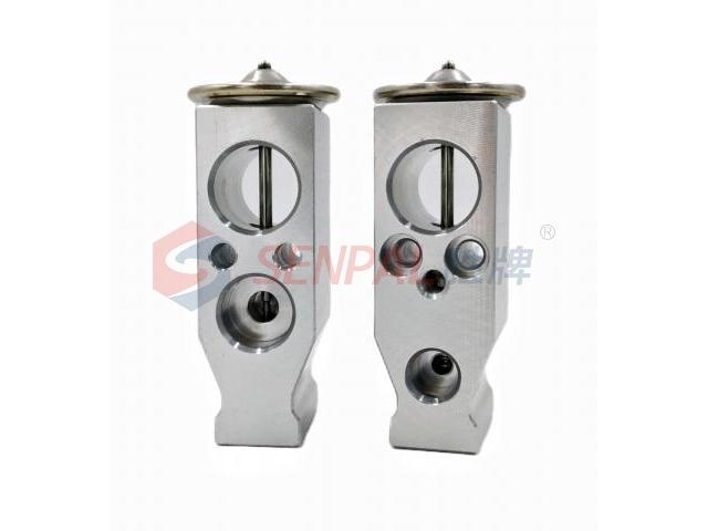 Expansion Valve:8106200XPW01A