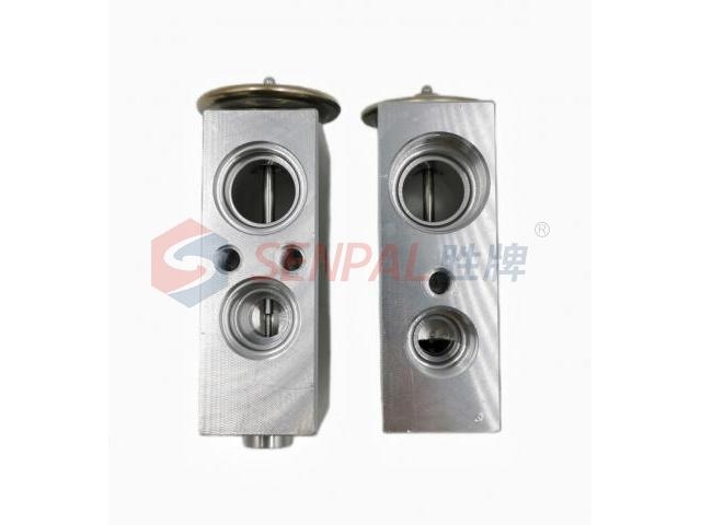 Expansion Valve:8106QXA-010-00