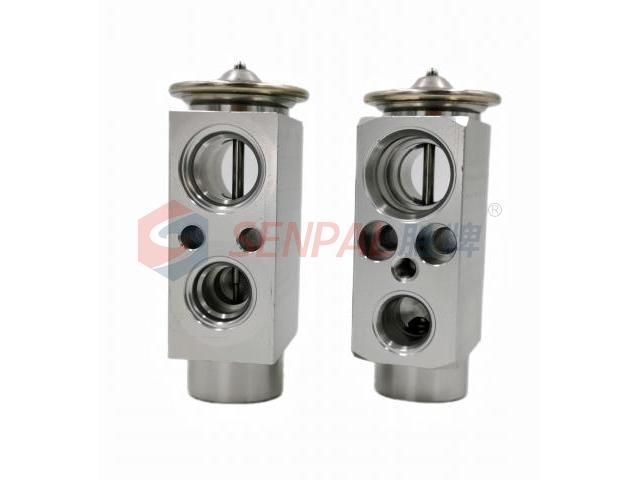 Expansion Valve:6398300384