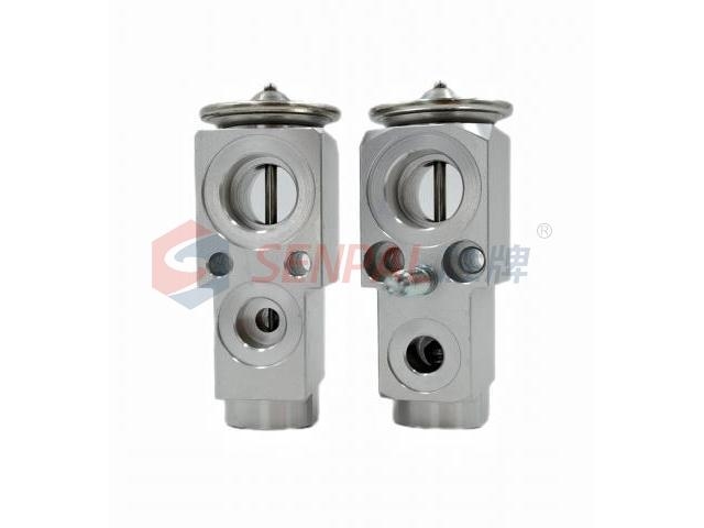 Expansion Valve:A0998300600