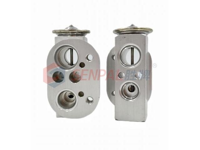 Expansion Valve:64119289832
