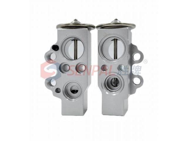 Expansion Valve:6C0816679