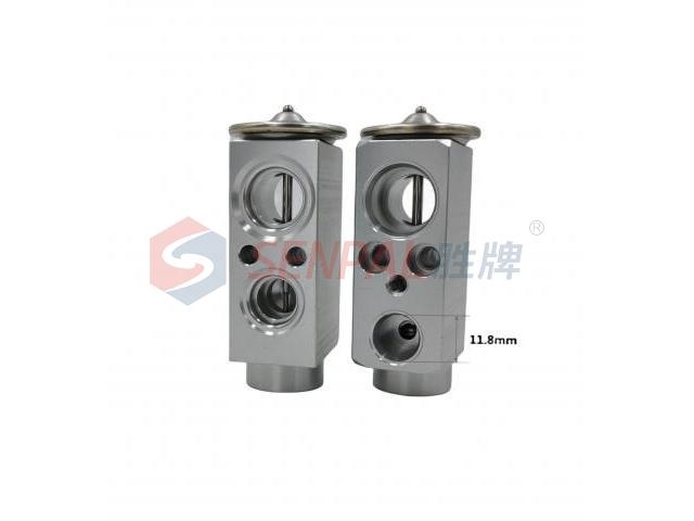 Expansion Valve:8100219XKV08A