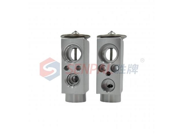 Expansion Valve:7021966.3