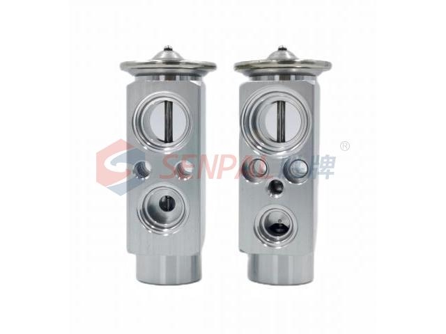 Expansion Valve:DZ14251841200