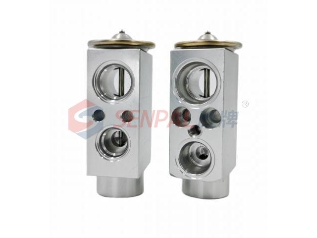 Expansion Valve:64119185521