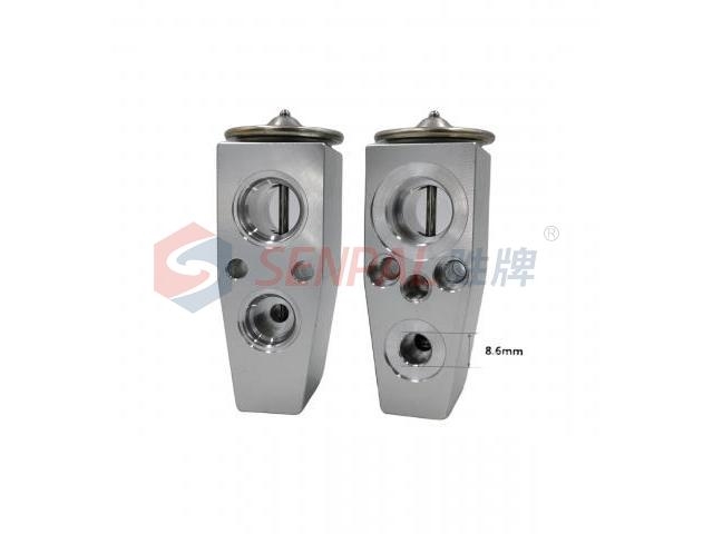 Expansion Valve:DG1319849AA