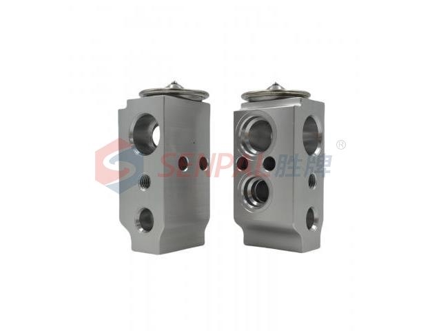 Expansion Valve:619939