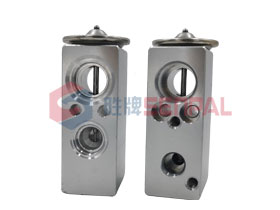 Expansion Valve:A310.011.00