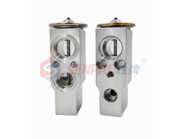 Expansion Valve:92100921