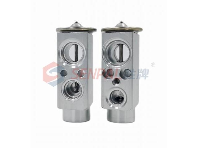 Expansion Valve:31101177