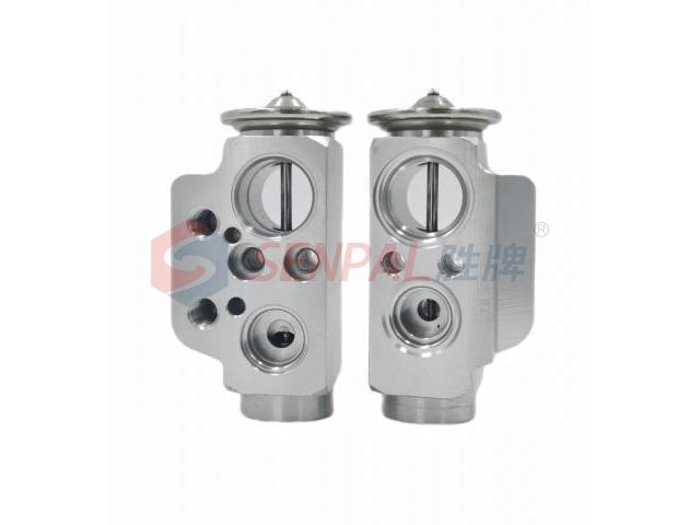 Expansion Valve:7L0 820 679 A