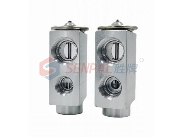 Expansion Valve:CAC8169