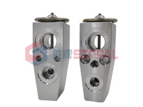 Expansion Valve:13263312