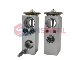 Expansion Valve:166 830 02 84